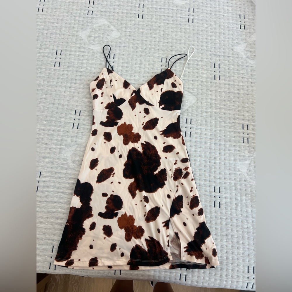 Windsor Brown and Cream Patterned Dress